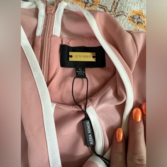 NWT  Alexia Admor Short Sleeve Sleeve Fit And Flare Dress Pink And White - Picture 4 of 8